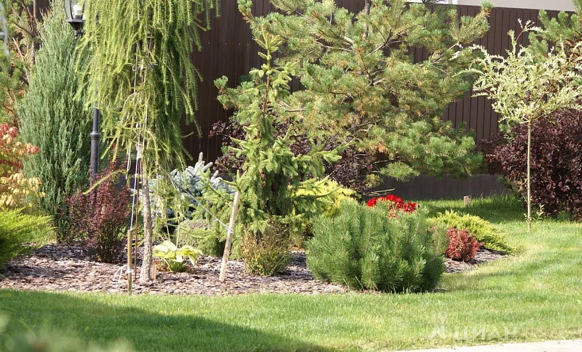 Дом, 330 кв.м на участке 8 сот