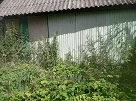 Дом, 45 кв.м на участке 11 сот