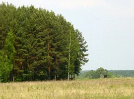 Коттеджный посёлок «Елизарово-Park (Елизарово-Парк)»