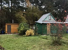 Участок 12 сот