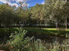 ЖК «Shirokaya (Широкая)»