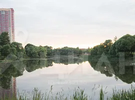 3-комн. квартира, 76.8/45/12