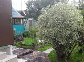 Дом, 50 кв.м на участке 2 сот