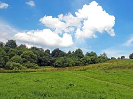 Коттеджный посёлок «Кутузовские холмы»