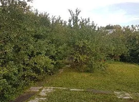 Участок 6 сот