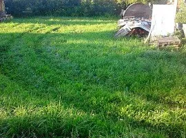 Участок 10 сот