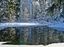 Участок, 10 сот. Панорама Ривер (Panorama River)