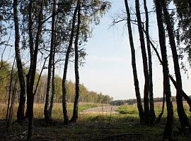 Коттеджный посёлок «Европейский Квартал»