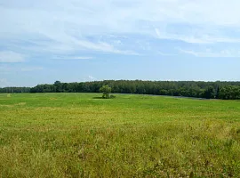 Коттеджный посёлок «Сиеста Южная»