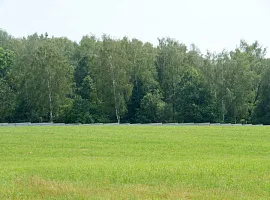 Коттеджный посёлок «Сиеста Южная»