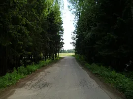 Коттеджный посёлок «Елизарово-Park (Елизарово-Парк)»