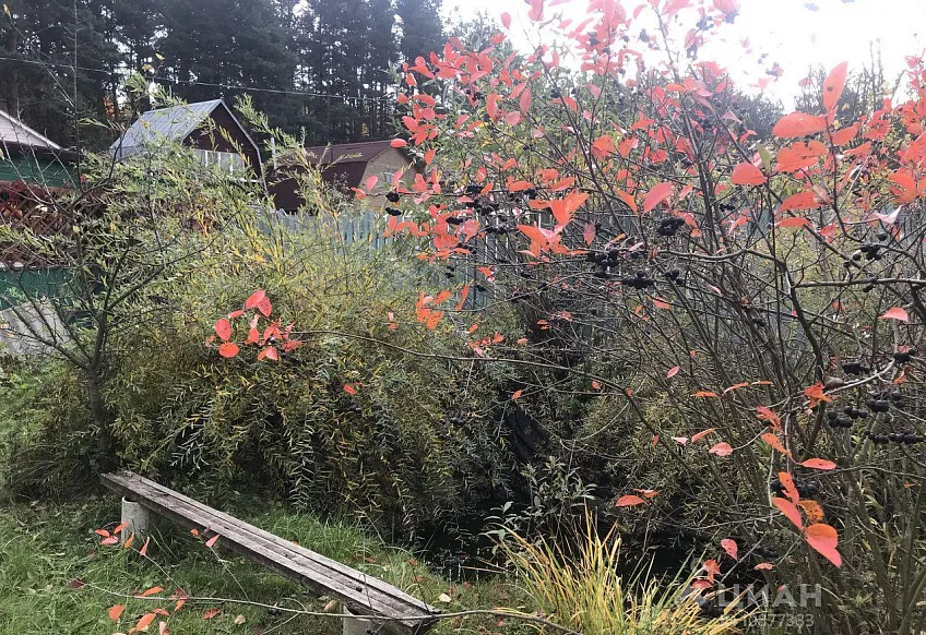 Участок 12 сот