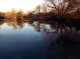 Коттеджный посёлок «Ширяевские Усадьбы»