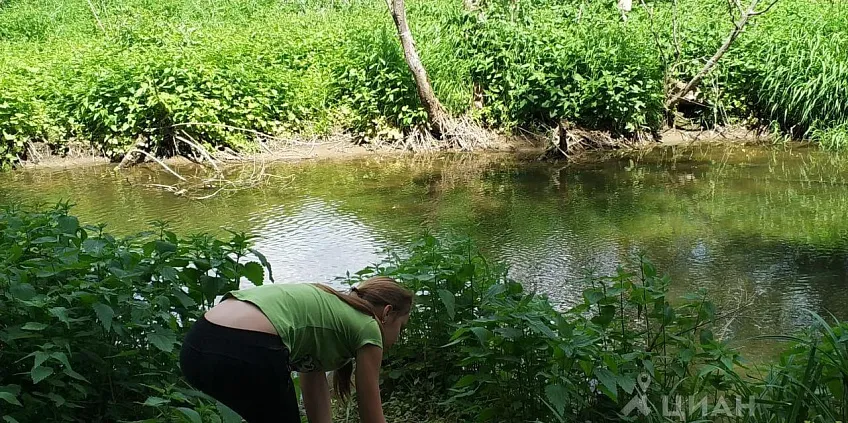 Дом, 66.1 кв.м на участке 10.31 сот