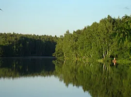 Коттеджный посёлок «Берёзки Вилладж»