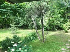 Дом, 264 кв.м на участке 20 сот