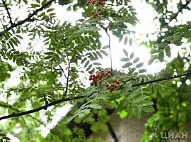 Дом, 508 кв.м на участке 17.3 сот