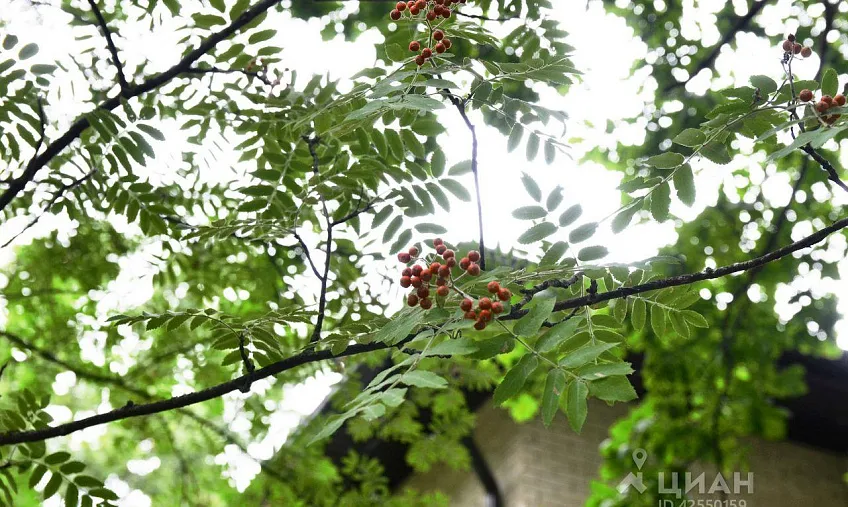 Дом, 508 кв.м на участке 17.3 сот