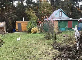 Участок 12 сот