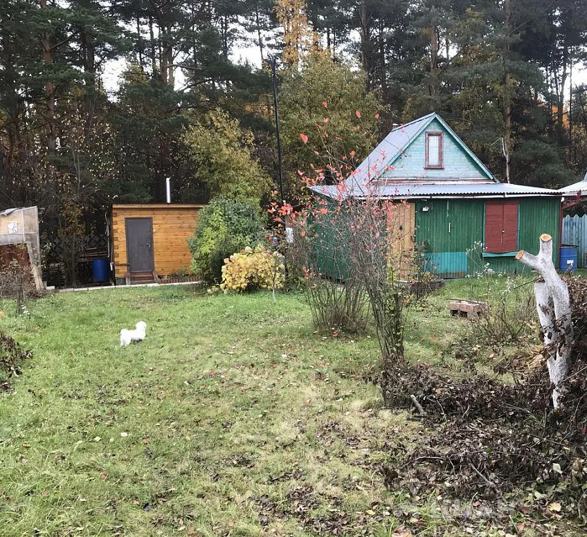 Участок 12 сот