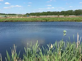 Коттеджный посёлок «Остров»