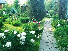 Дом, 66.1 кв.м на участке 10.31 сот