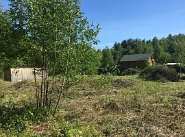 Участок 12 сот