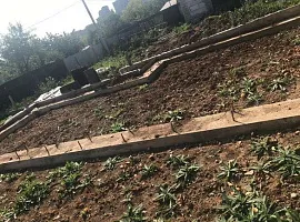 Участок 6 сот