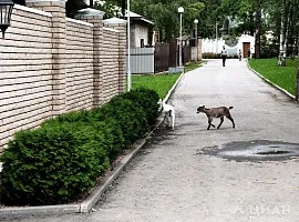 Дом, 508 кв.м на участке 17.3 сот