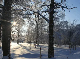 Коттеджный посёлок «Николино Парк»