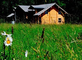 Коттеджный посёлок «Бариново-Парк»