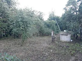 Участок 13 сот