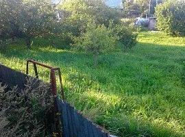 Участок 10 сот