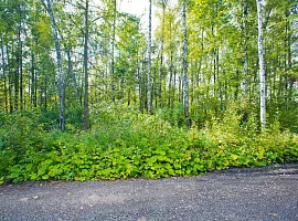 Коттеджный посёлок «Иллюзион»