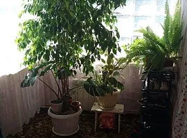 Дом, 4 кв.м на участке 50 сот