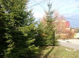 Дом, 280 кв.м на участке 9.8 сот