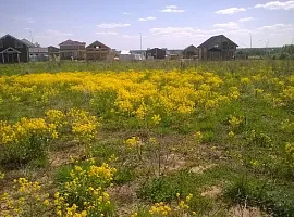 Коттеджный посёлок «Троица»