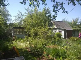 Участок 6 сот