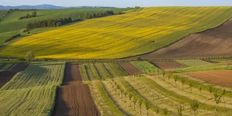 Земли населённых пунктов vs земли сельхозназначения: в чём разница?