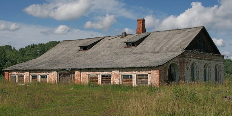 Царские подарки от Шнурова