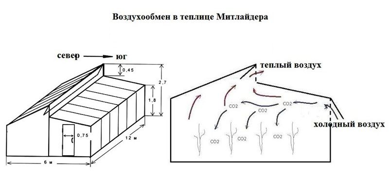 Чертеж теплицы