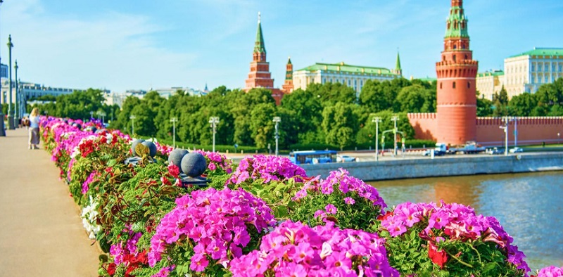 Фестиваля «Сады и цветы»