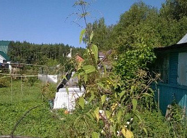 Дом, 45 кв.м на участке 6 сот