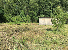 Участок 12 сот