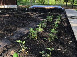 Дом, 450 кв.м на участке 30 сот