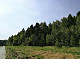 Дом, 160 кв.м на участке 8 сот