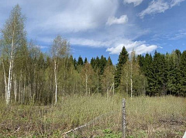 Участок 6 сот