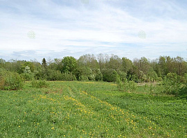 Коттеджный посёлок «Федюково» + ADAMOV GMBH + novostroyrf.ru Коттеджный посёлок «Федюково»