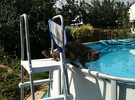 Дом, 75 кв.м на участке 12 сот