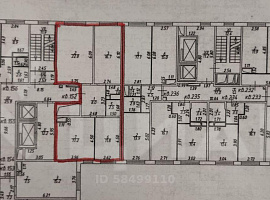 3-комн. квартира, 80.6/54/18